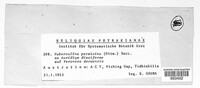Tuberculina persicina image